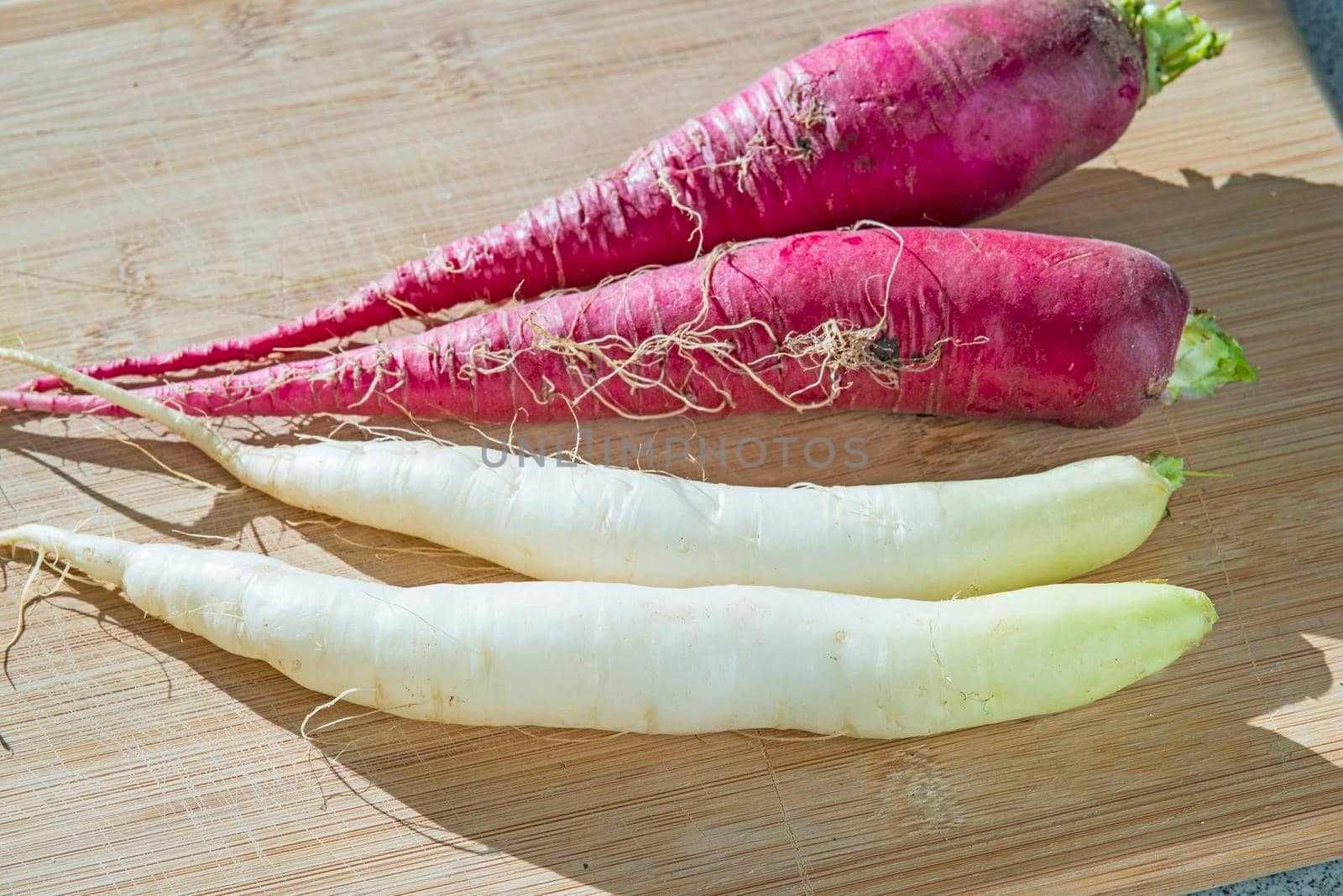 red and white radish on a plank in sun by Jochen