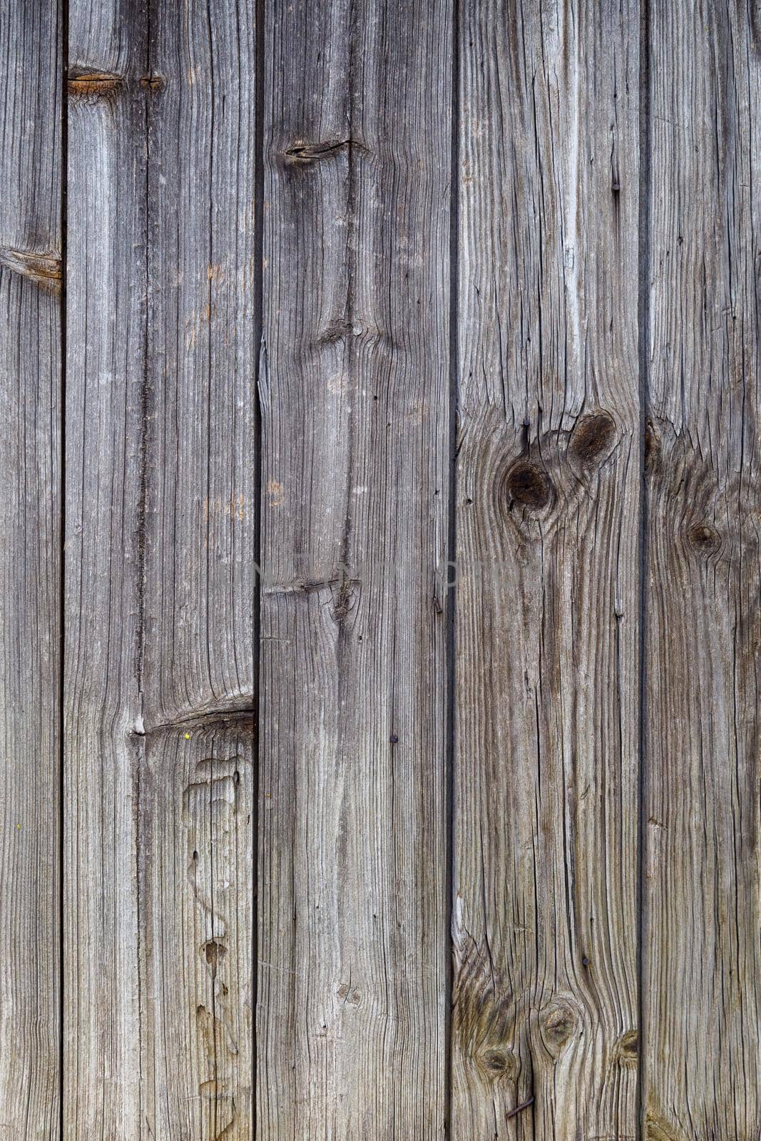 gray dry wooden planks wall suface texture and background.