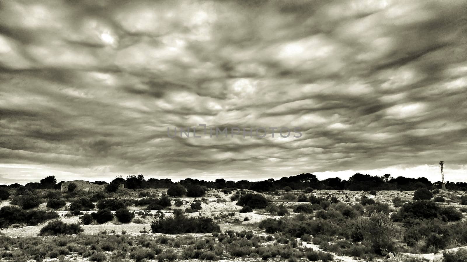 Countryside landscape with cloudy sky and native bushes and conifers in Alicante, Spain