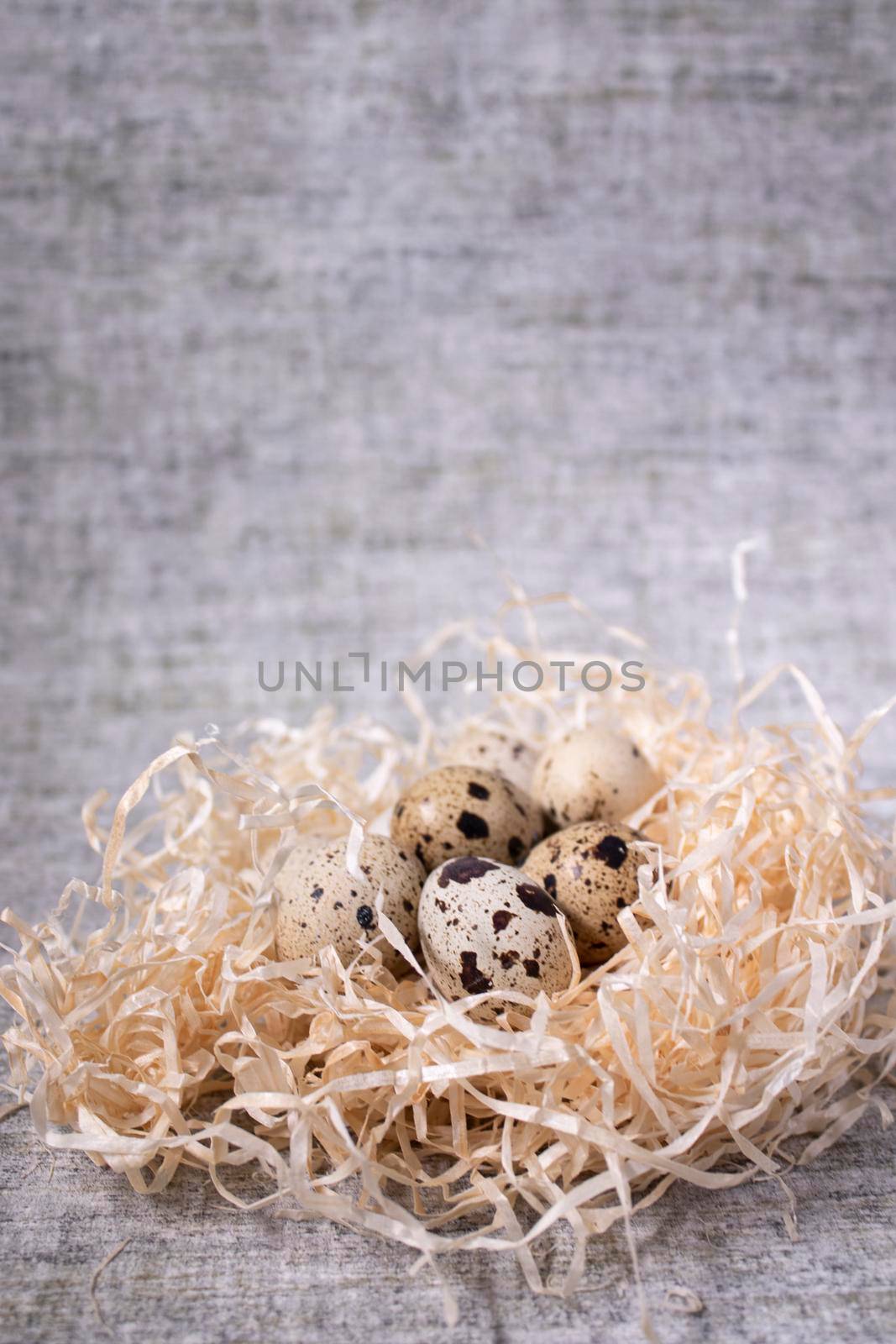 composition of quail eggs in a nest of dry grass or Wheat, oats, millet. with free space for text advertising of food or restaurant menu design. Healthy food concept. by oliavesna