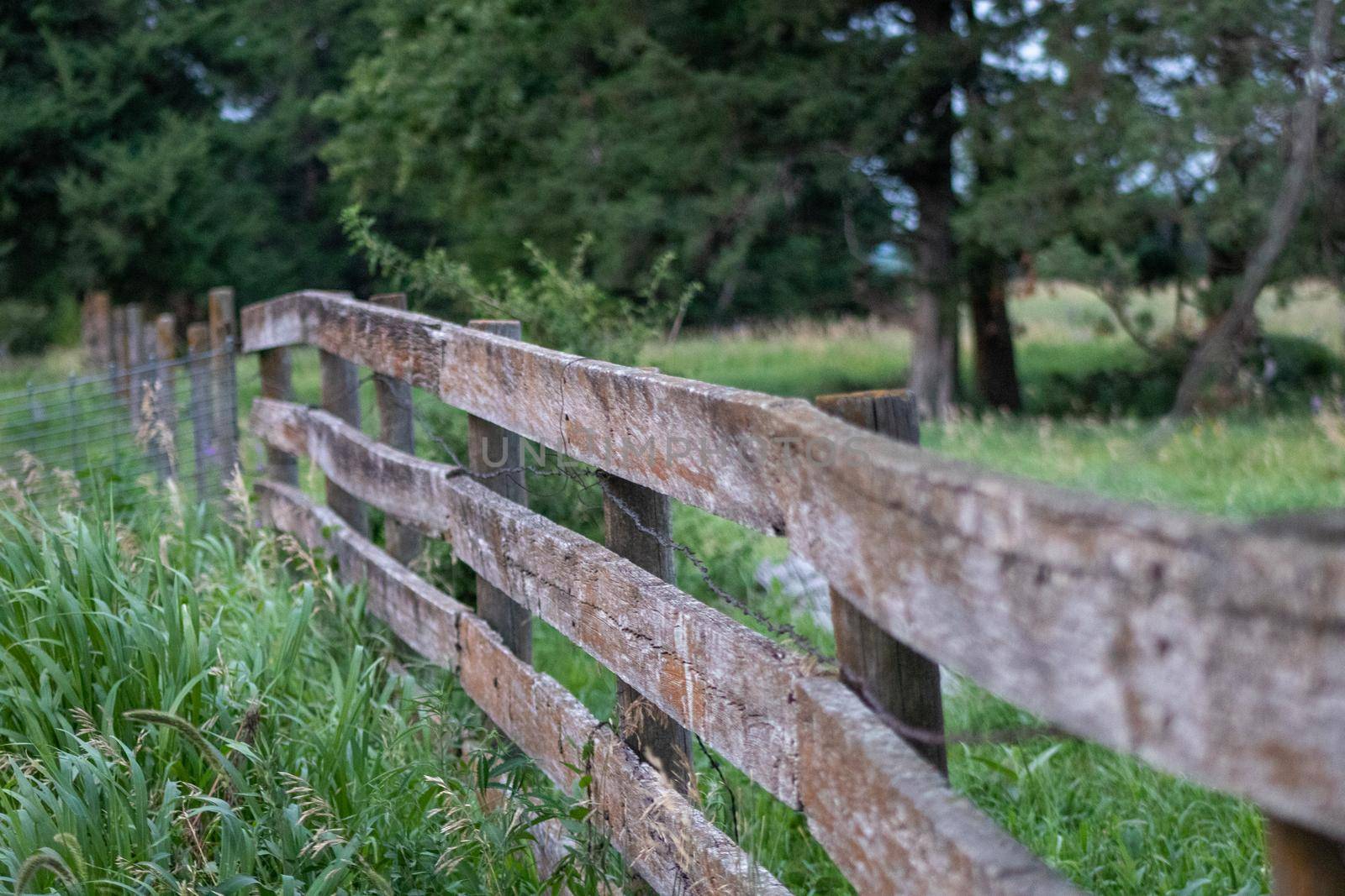 Close up of old wooden fence in pasture by gena_wells