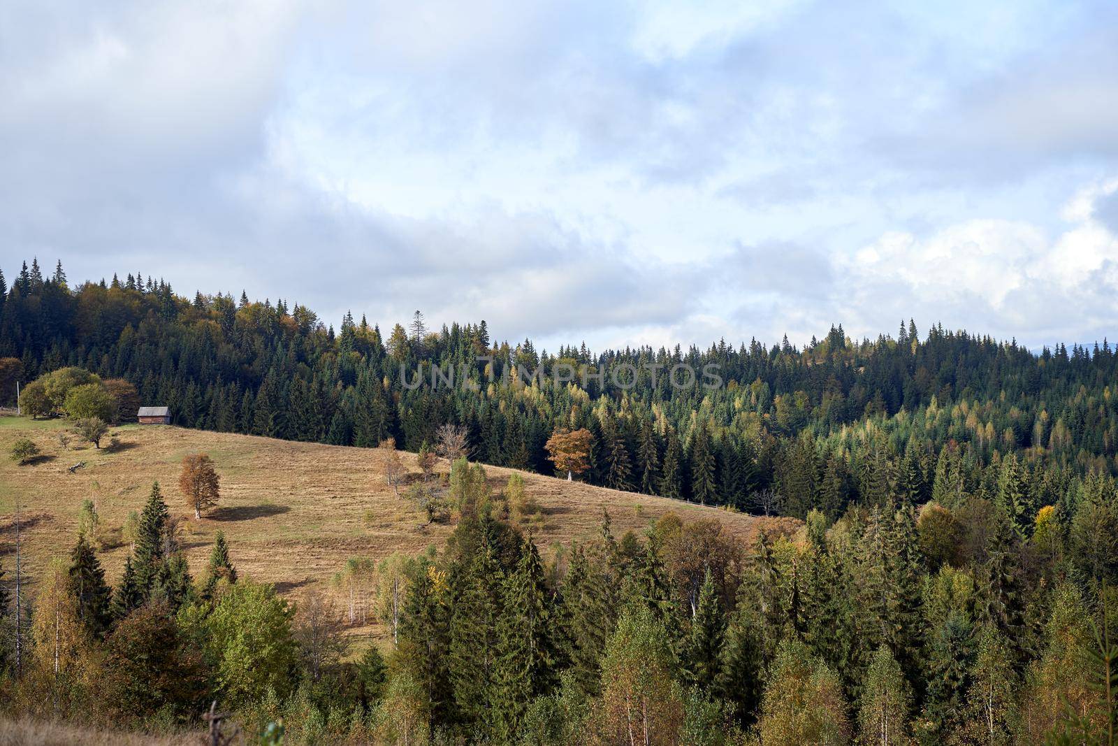 mountain landscape with cloud sky Carpathian Ukraine Beautiful landscape view