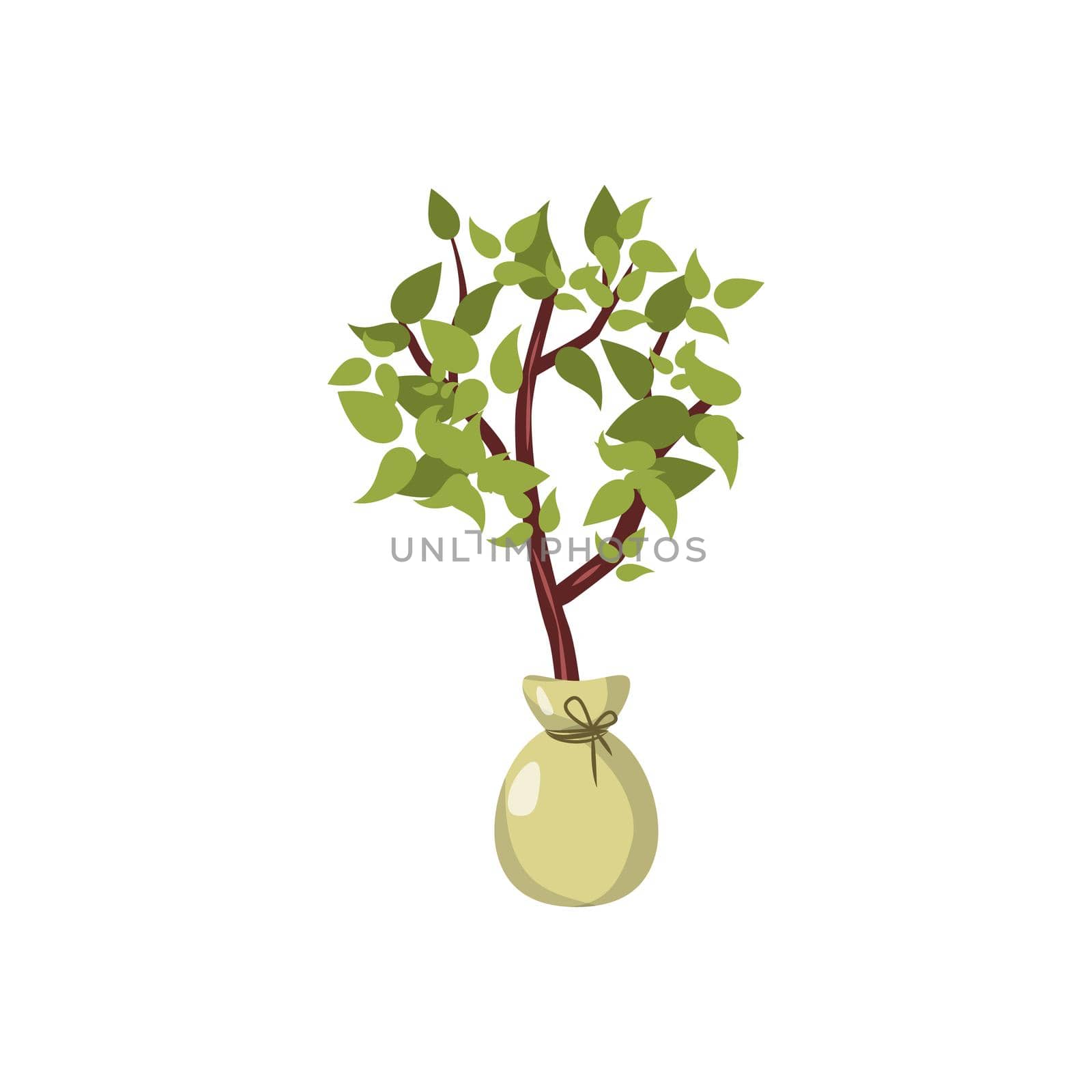 Seedling icon in cartoon style on a white background