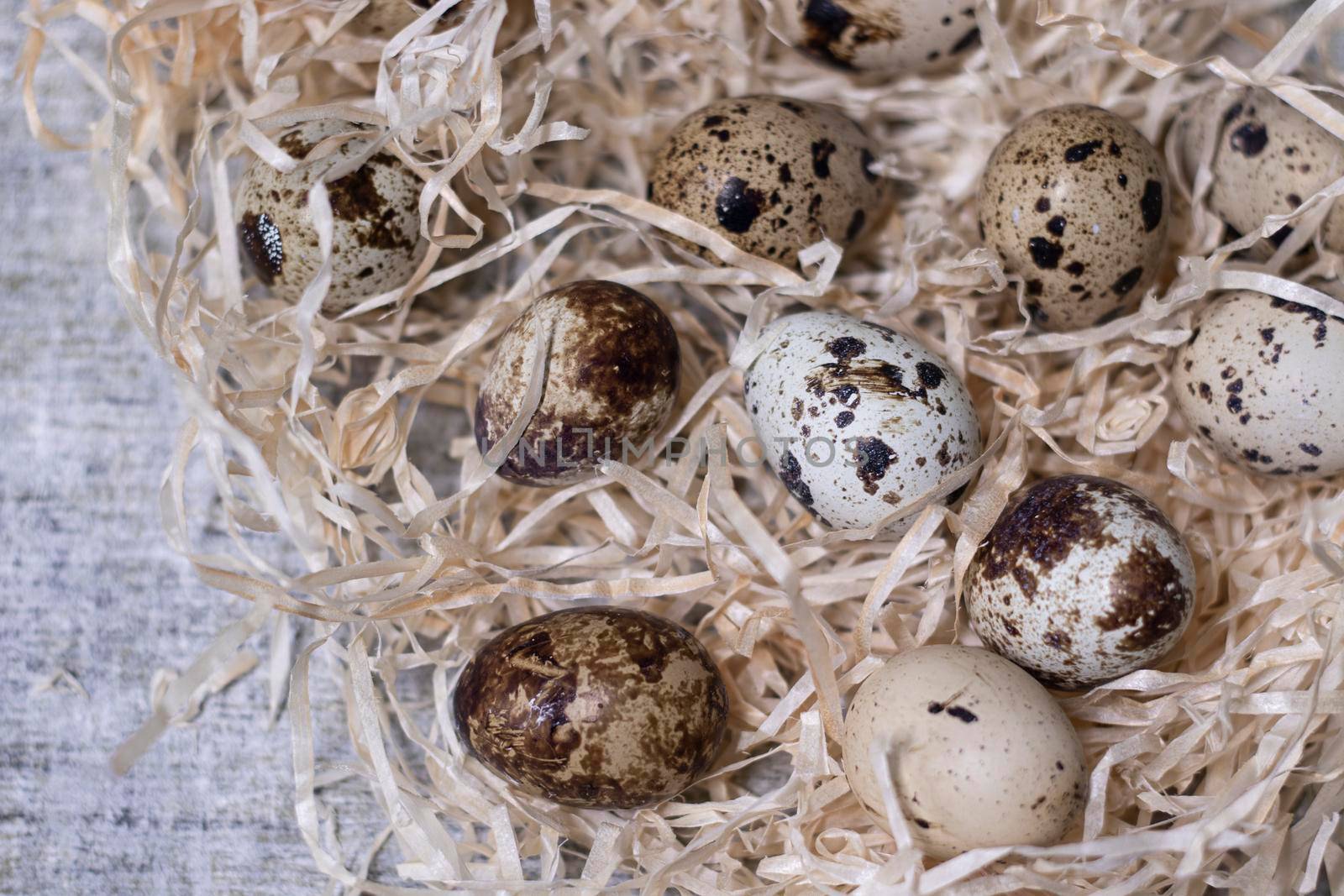 close up of quail eggs in a nest of dry grass. easter eggs. copy space for advertising of food or restaurant menu design.