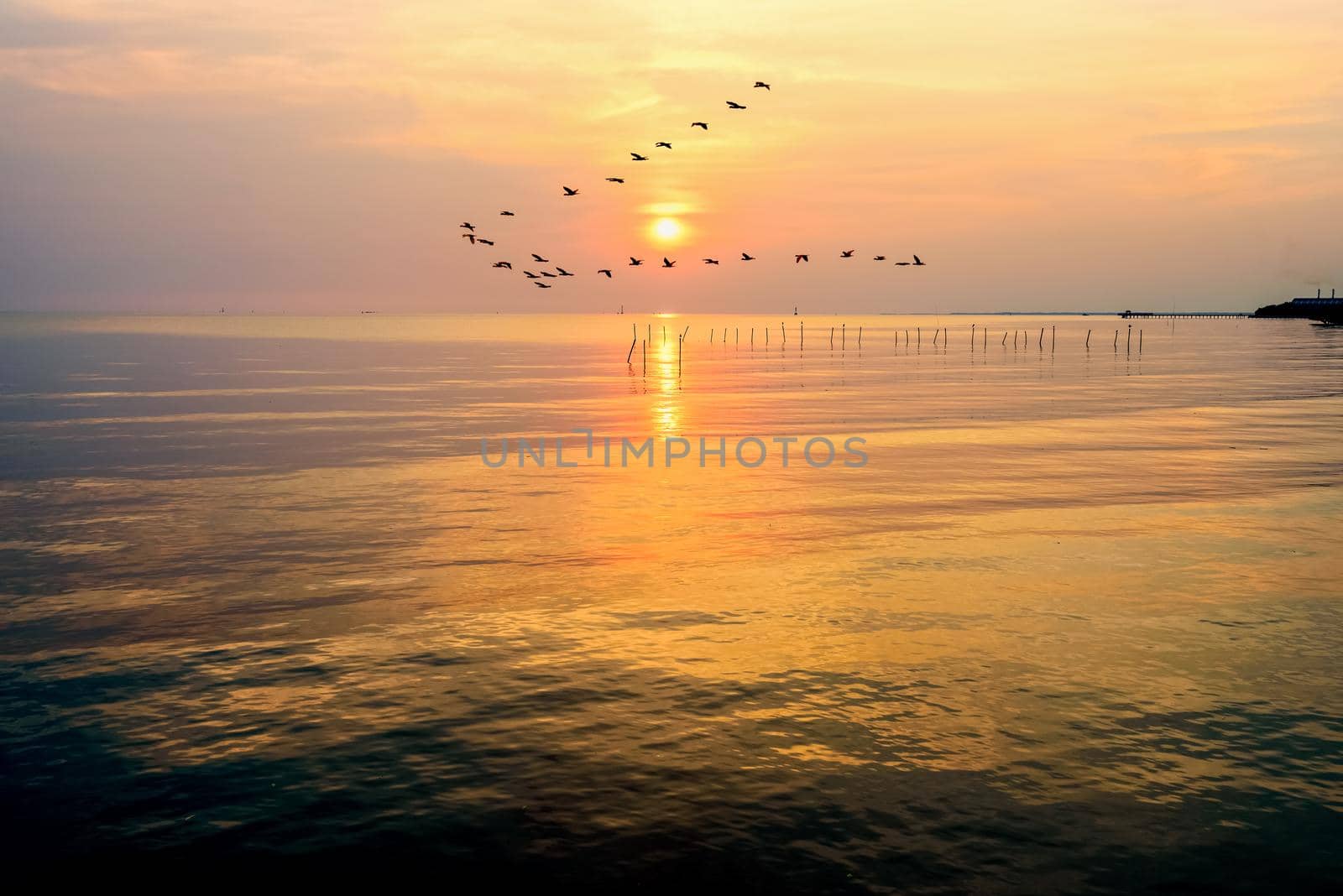 Flock of seagulls bird flying in a line through the bright yellow sun on golden light sky and sunlight reflect the water of the sea beautiful nature landscape at sunrise, sunset background, Thailand
