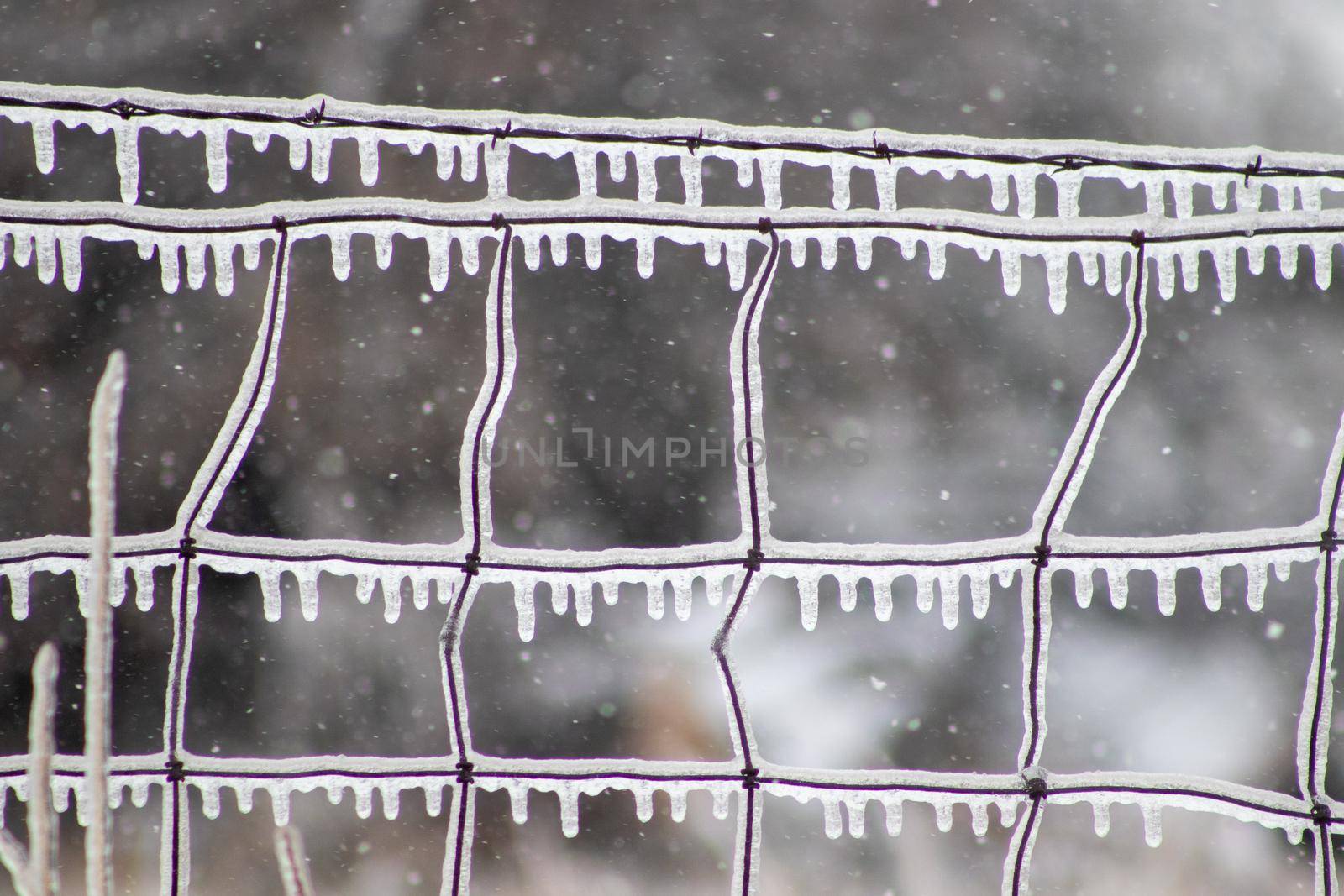 Close up of ice covers wire fence with ice icicles . High quality photo