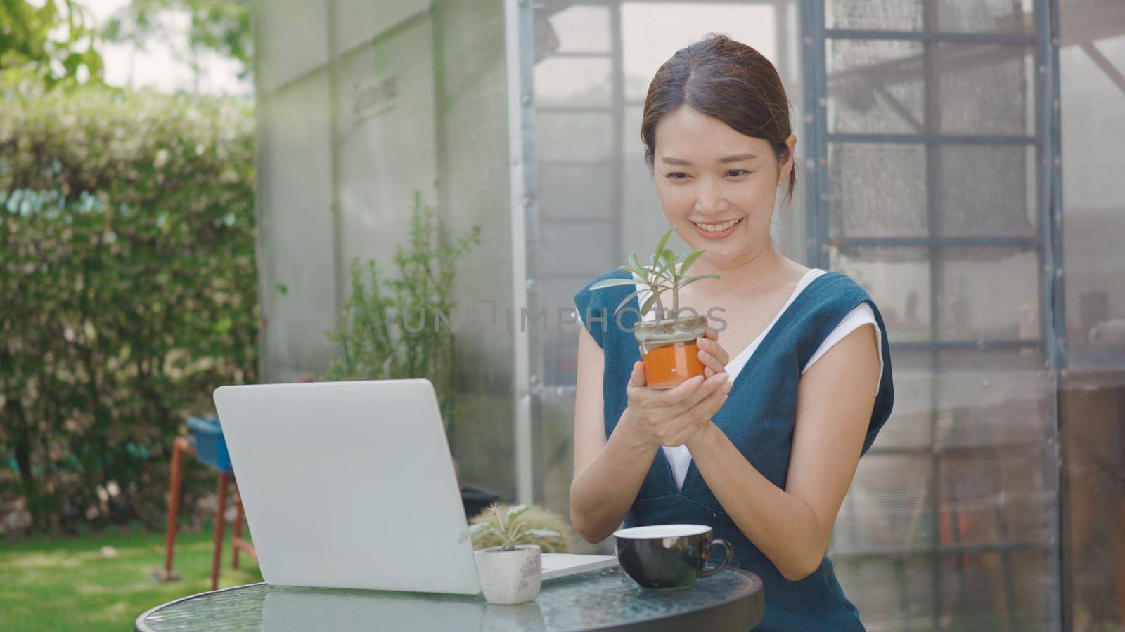 Asian beautiful lifestyle young woman talk selling small tree and cactus online by laptop computer social media live streaming, business online e-commerce distance near greenhouse, small business