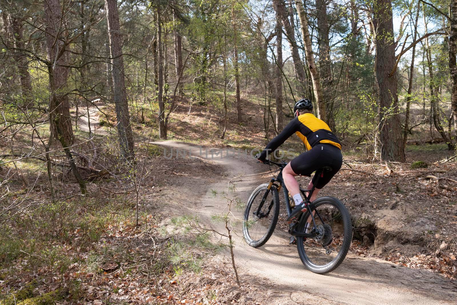 man on mountain bike in spring forest near utrecht in holland by ahavelaar