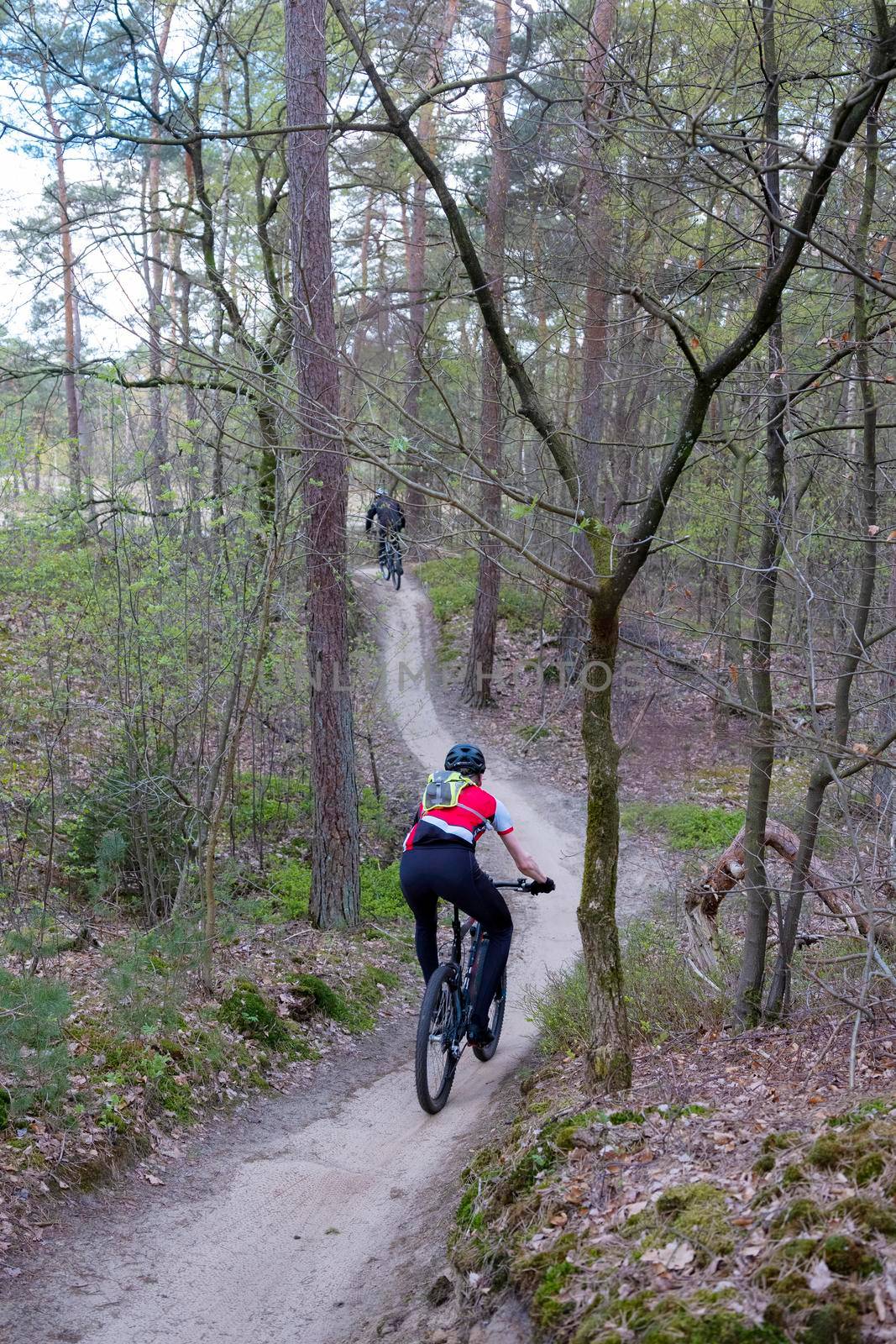 men on mountain bike in spring forest near utrecht on sunny morning in the netherlands