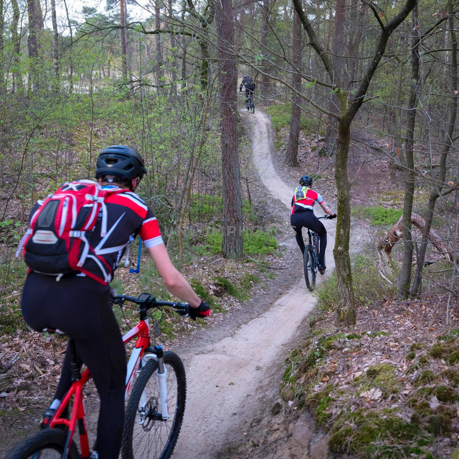 men on mountain bike in spring forest near utrecht on sunny morning in the netherlands