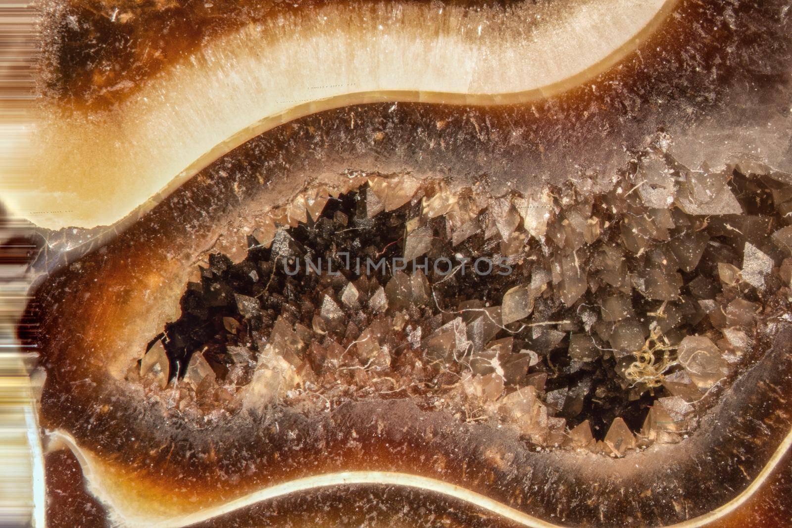 Ammonite fossilization by Dr-Lange