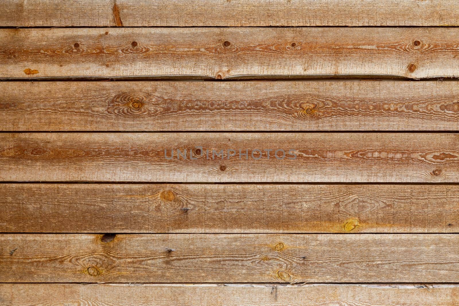gray dry wooden planks wall suface texture and background.