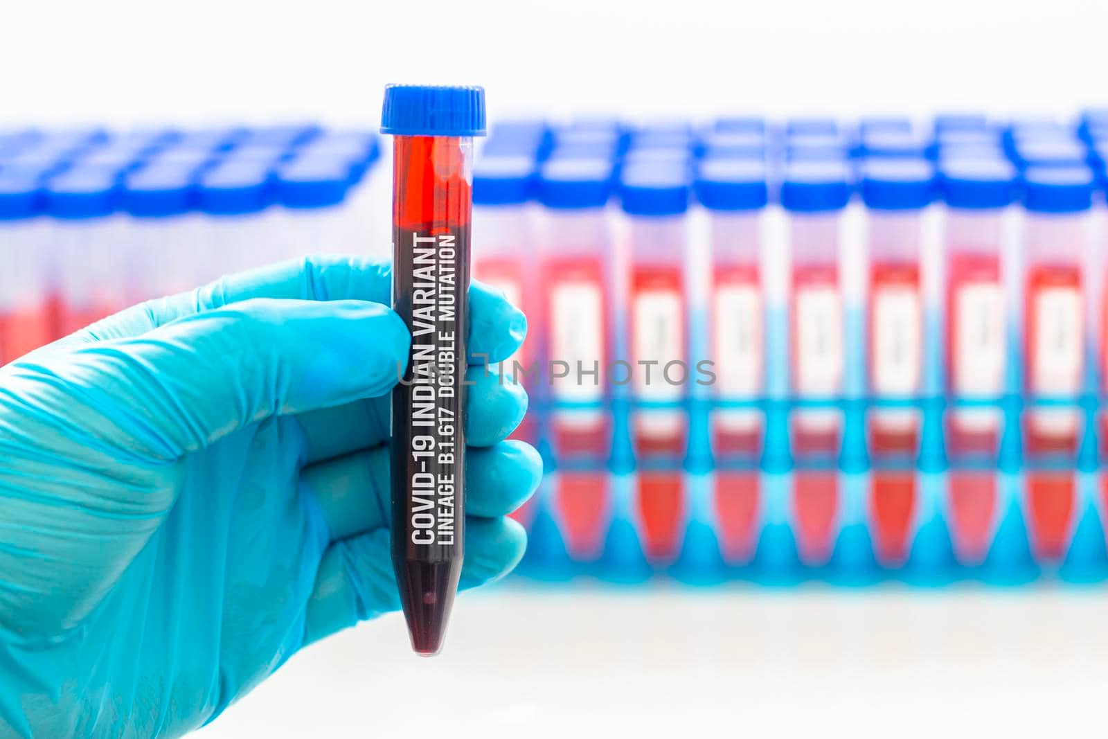 A medical Worker holding a centrifuge tubes with graduated marks with a blood with Covid-19 Indian variant virus sample. Concept: Lineage B.1.617, Double mutation