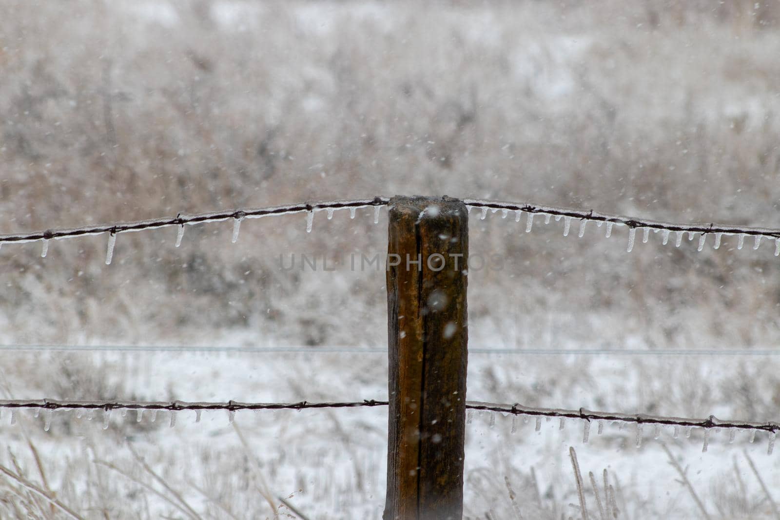 Snow fall and barb wire fence covered in ice . High quality photo