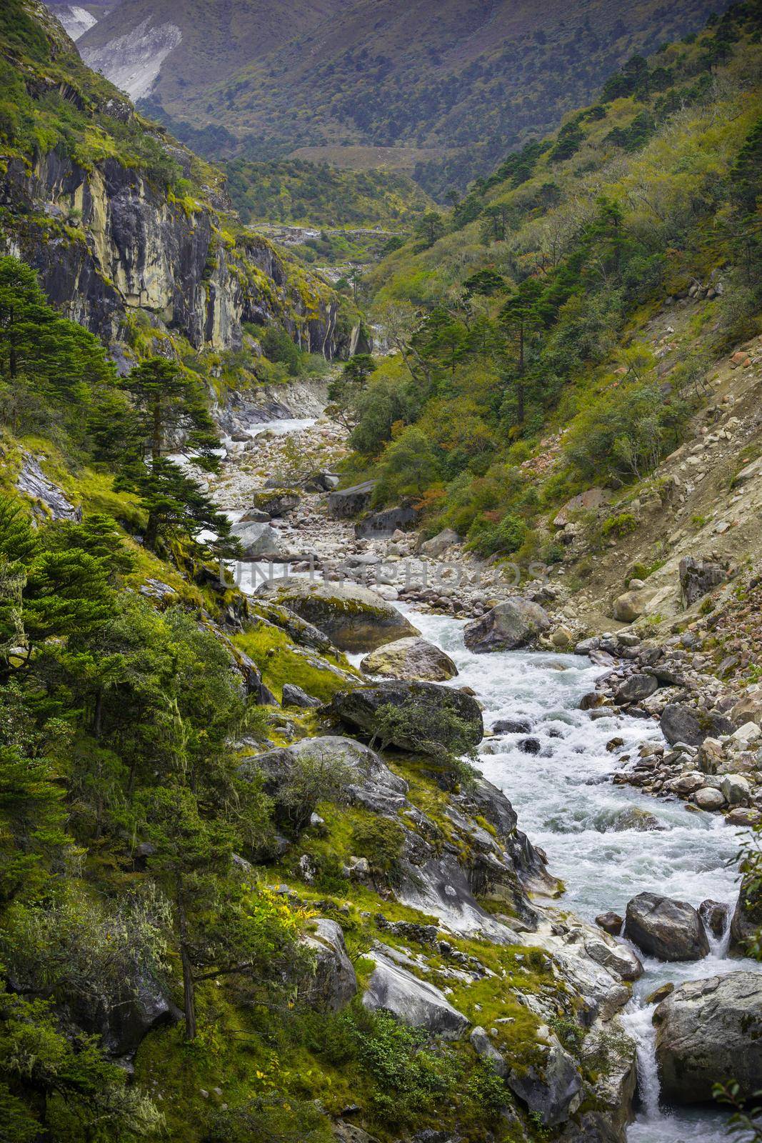 River and forest in Himalayas. Trekking in Nepal. Nature and travel
