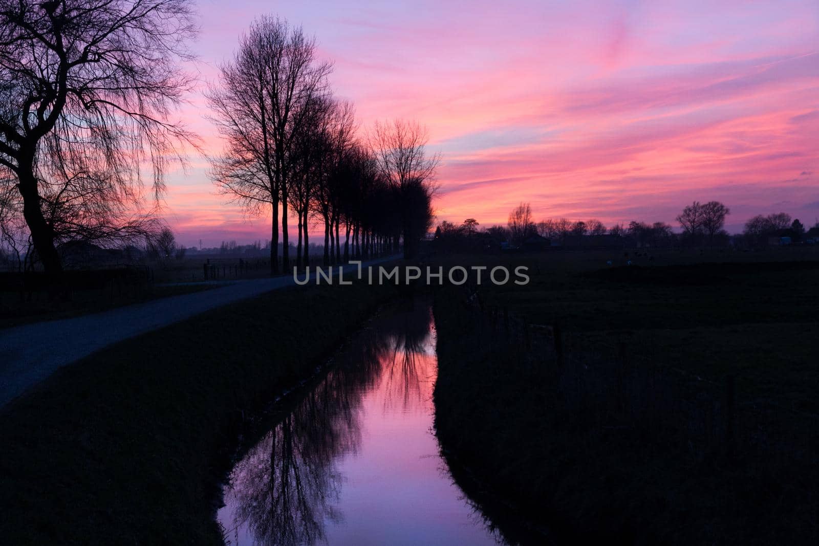 Reflection of a pink sunset in a ditch in an rural area in The Netherlands