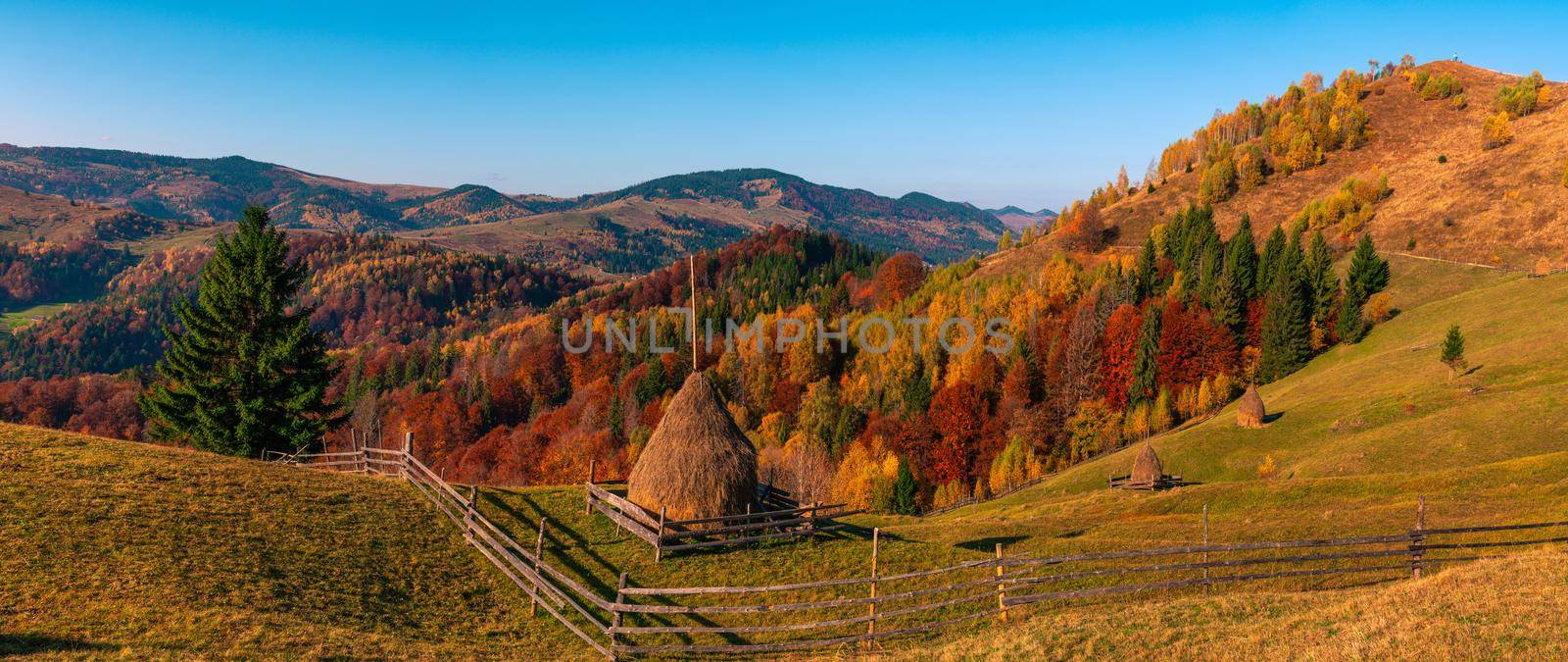 Autumn forest trees in the mountains panorama trees in the mountains Meadow with haystack  by Arsgera