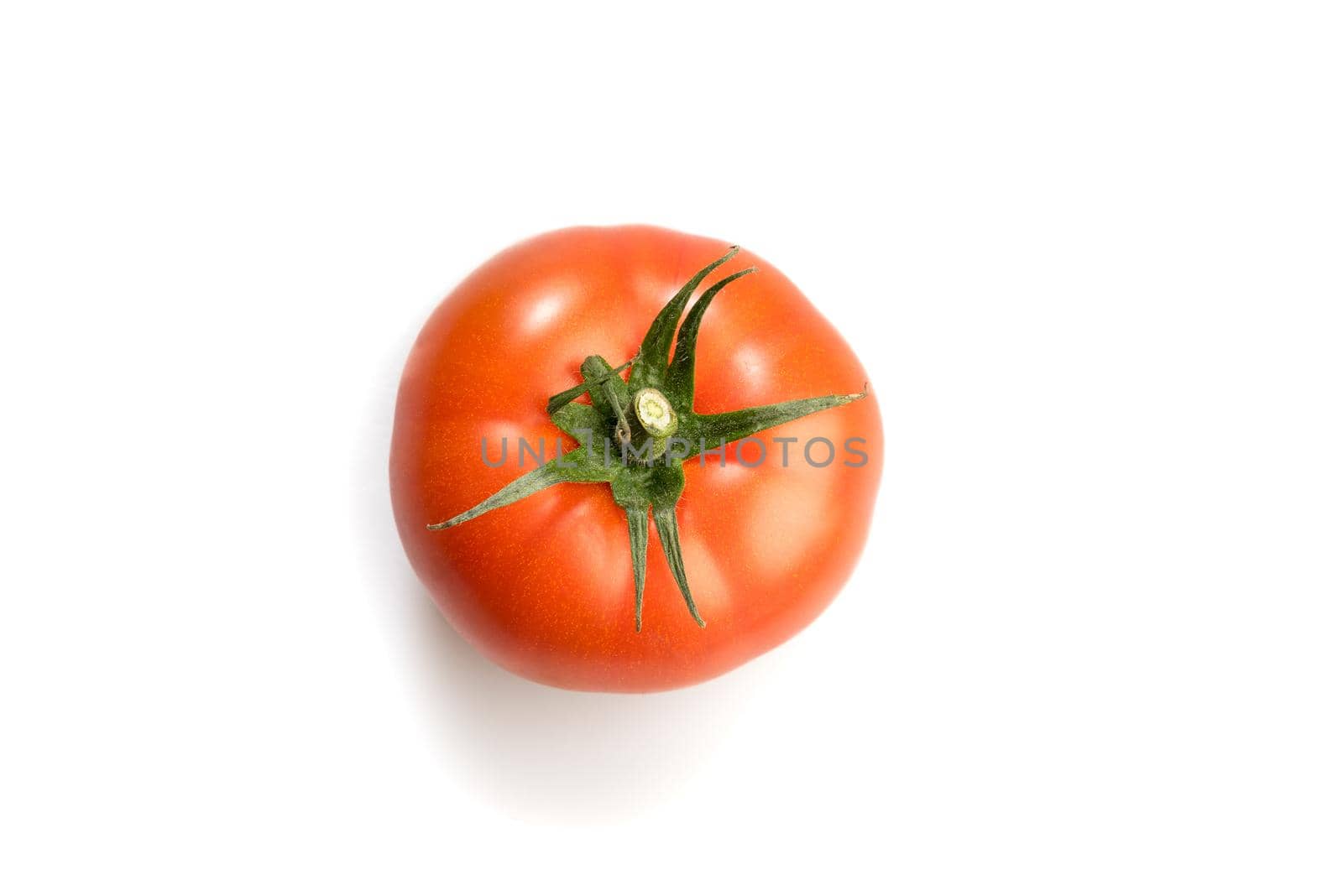 One realistic looking  tomato lying isolated in a white background  by LeoniekvanderVliet