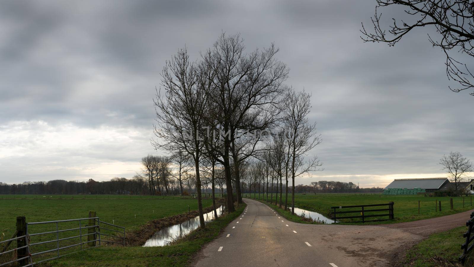 Meadow and countryroad at dusk in rainy weather in The Netherlands