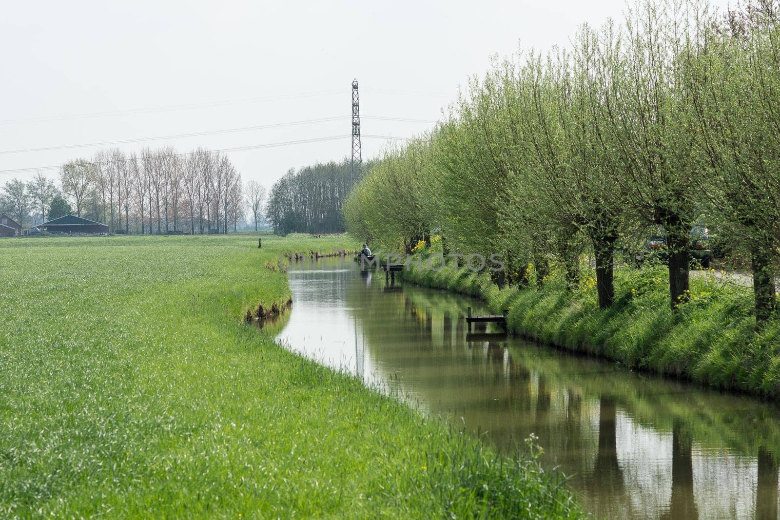 Row of Pollard Willows and stream with fisher by LeoniekvanderVliet