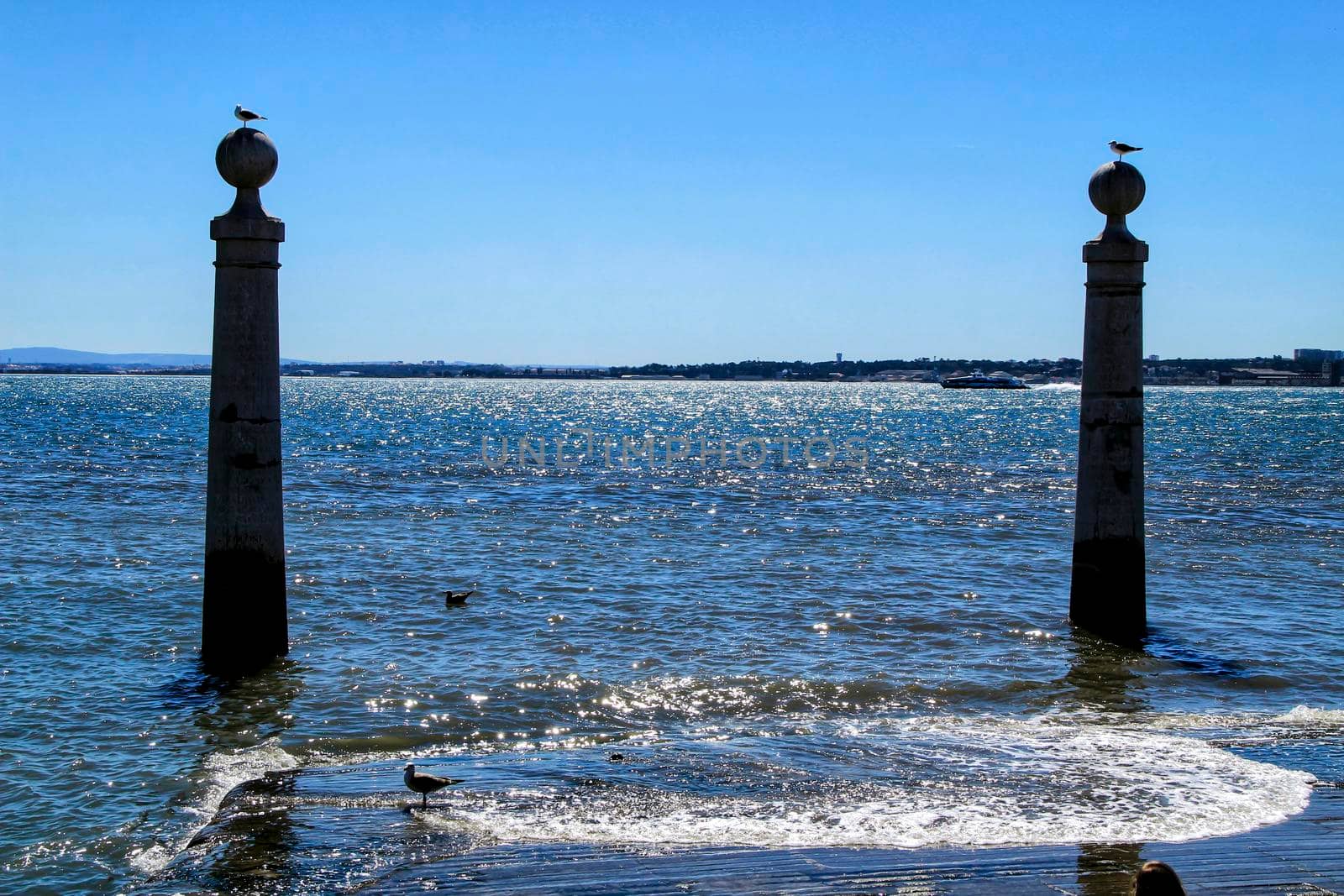 Pillars of Do Comercio square on the banks of the Tagus River in Lisbon in a sunny day of spring. Segulls on the top.