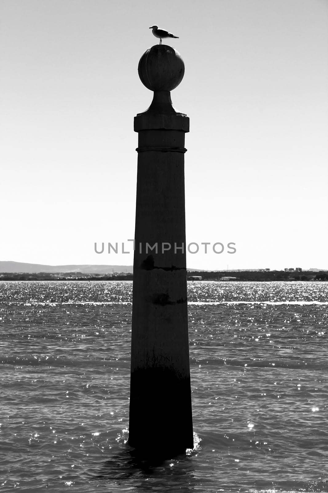 Pillar of Do Comercio square on the banks of the Tagus River in Lisbon in a sunny day of spring. Segull on the top.