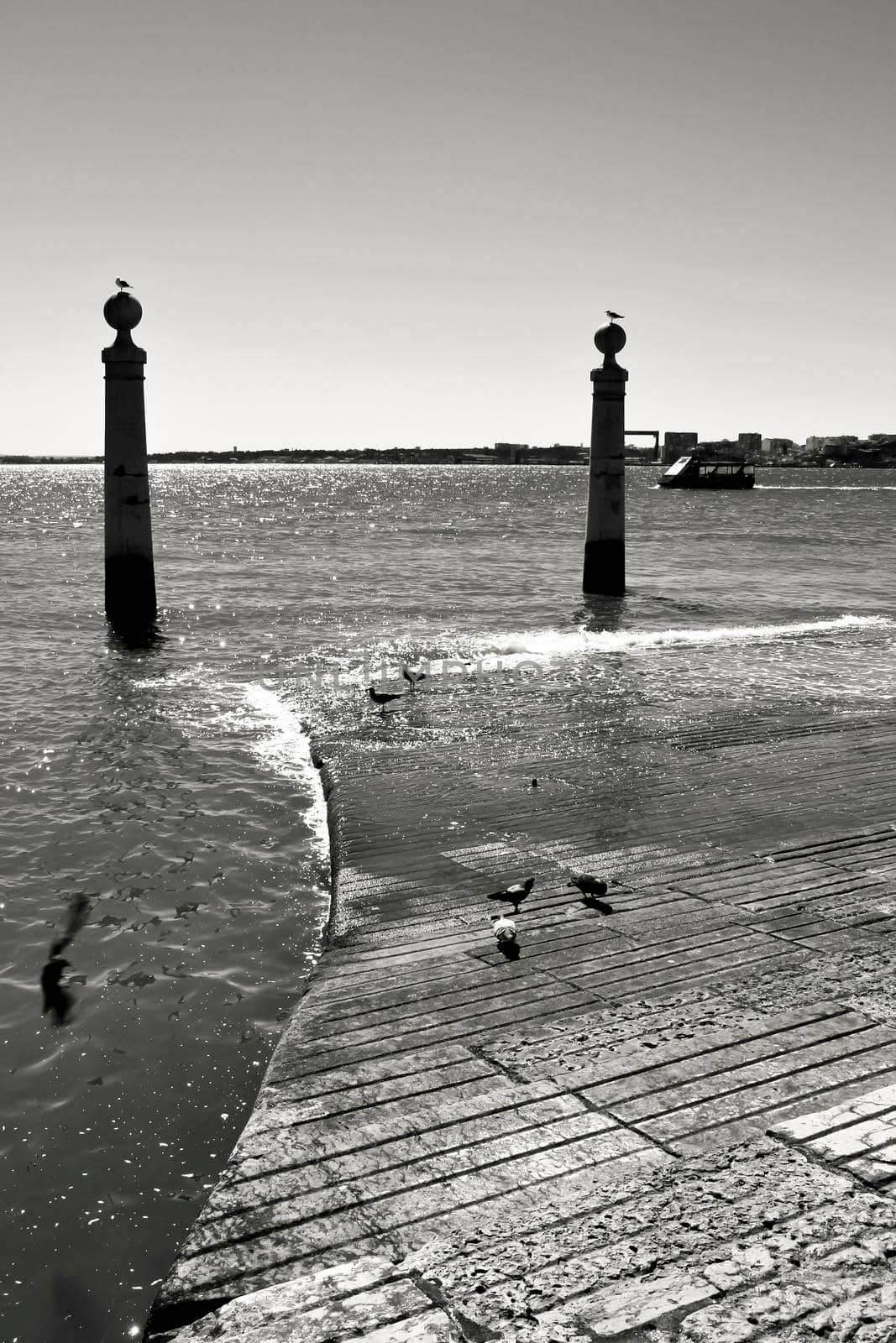 Pillars of Do Comercio square on the banks of the Tagus River in Lisbon in a sunny day of spring. Segulls on the top.