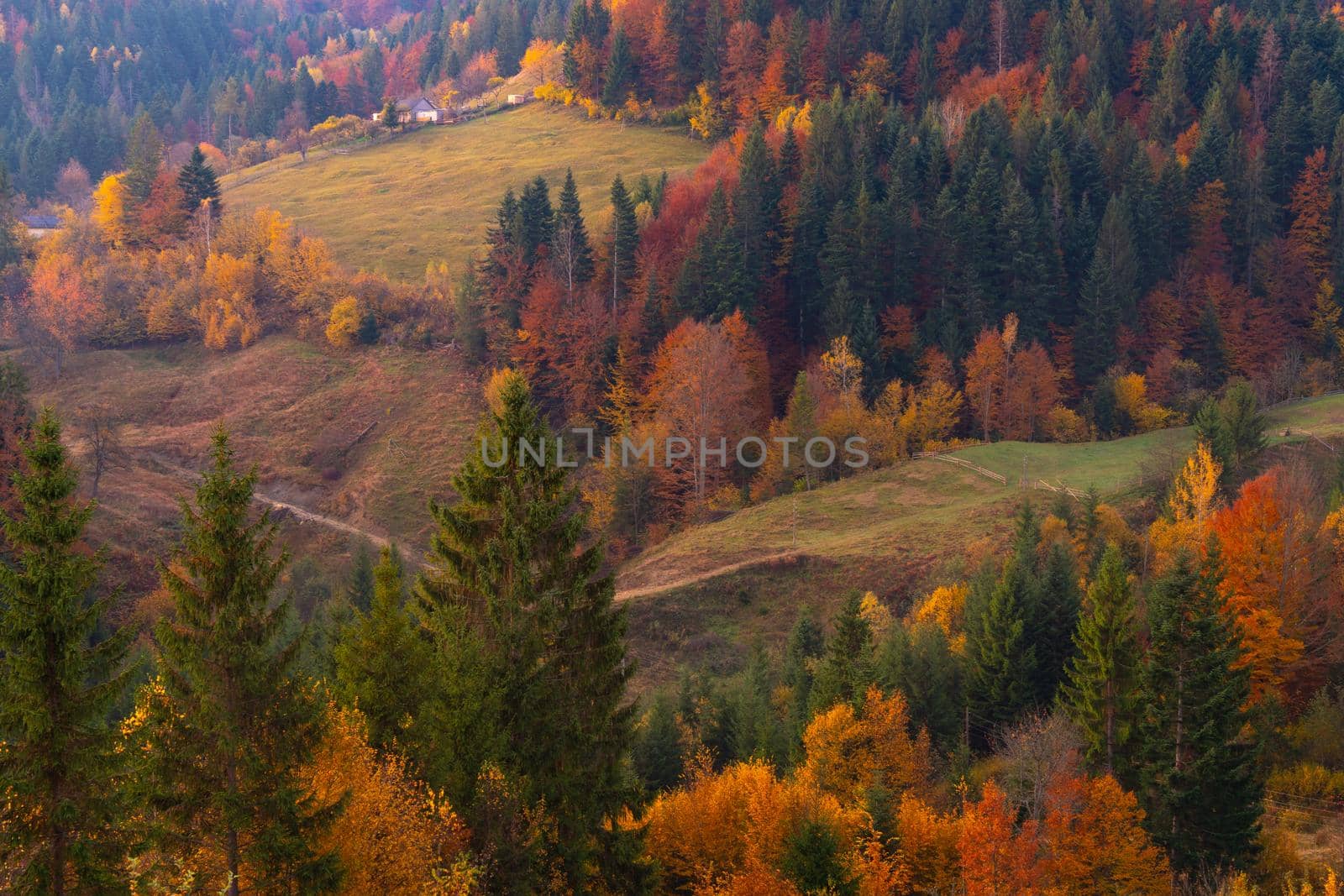 Autumn foliage trees in the mountains Meadow with haystack  by Arsgera