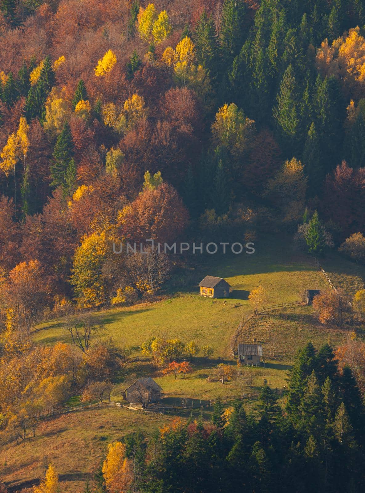 Village Houses and autumn foliage trees in the mountains by Arsgera
