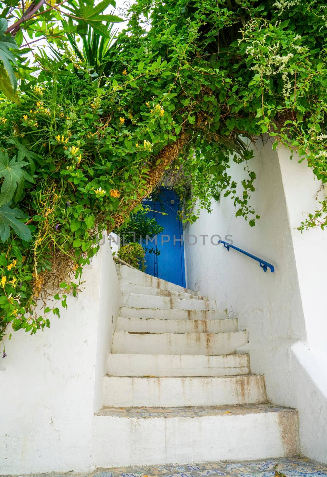 Aged Blue door in Andalusian style from Sidi Bou Said in Tunisia