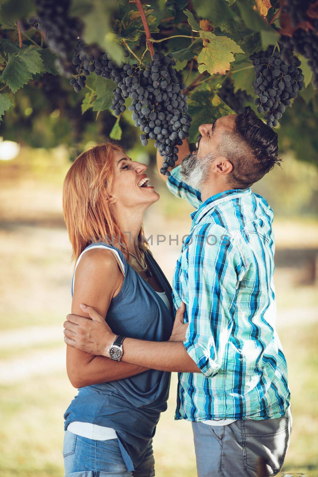 Couple In The Vineyard by MilanMarkovic78