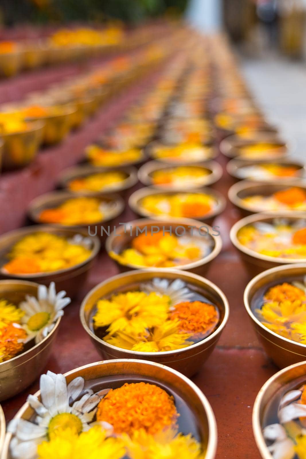 Buddhist flower offerings or gifts in bowls and rows. Buddhism religion offering in a temple