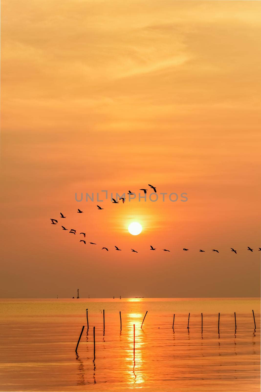 Flock of seagulls bird flying in a line through the bright yellow sun on orange light sky and sunlight reflect the water of the sea beautiful nature landscape at sunrise, sunset background, Thailand