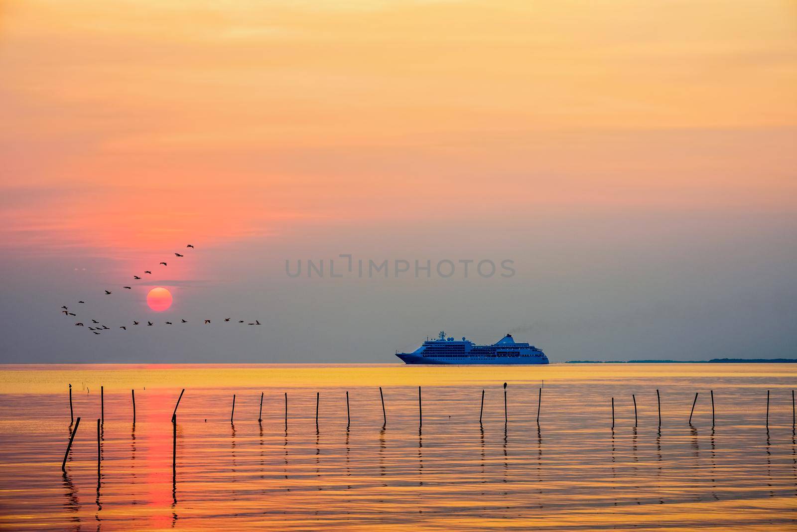 Travel by Cruises ship in the ocean large luxury passenger boat is sailing on the sea, flock birds flying in a line at colorful sky, beautiful nature landscape, red sun at sunset or sunrise background