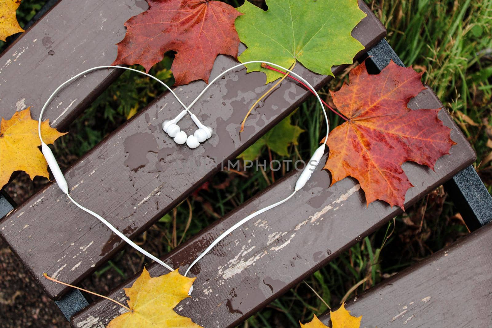 White heart-shaped headphones lie on a bench with maple leaves in an autumn park.