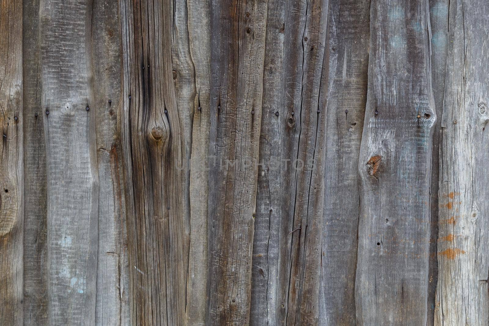 gray dry wooden planks wall suface texture and background.