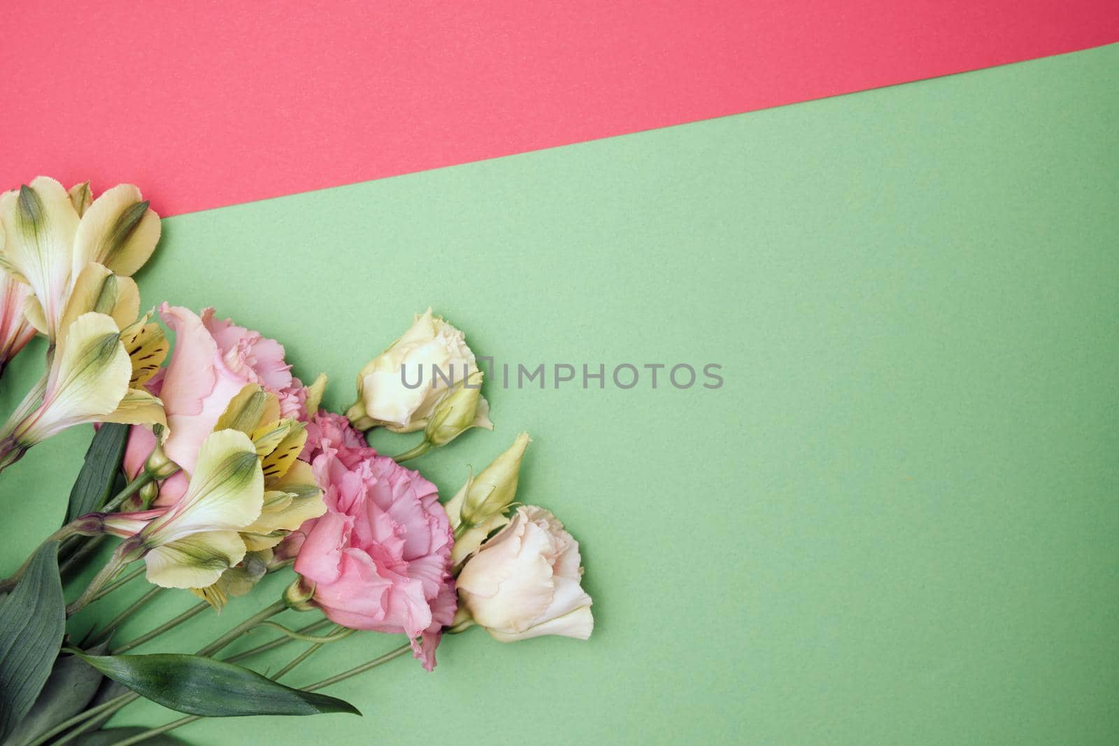 Spring flowers. Holiday card. White flowers of cherry on a blue and yellow background. Place for text, flat lay, top view, copy space