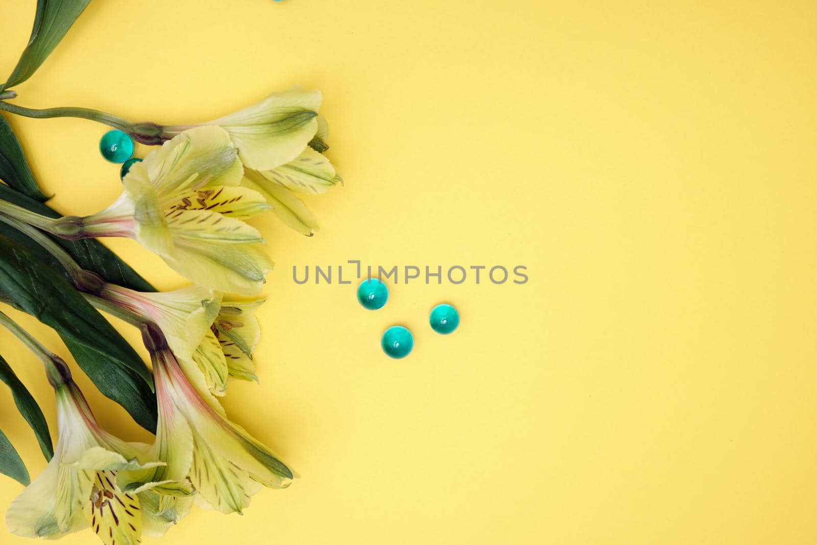 Spring flowers. Holiday card. White flowers of cherry on a blue and yellow background. Place for text, flat lay, top view, copy space