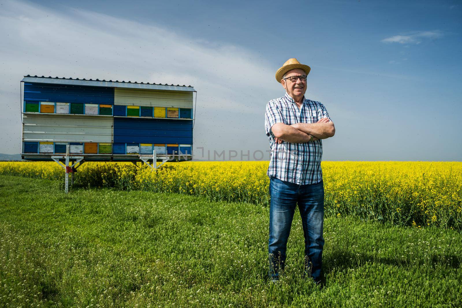 Proud beekeeper is standing in front of his beehives.