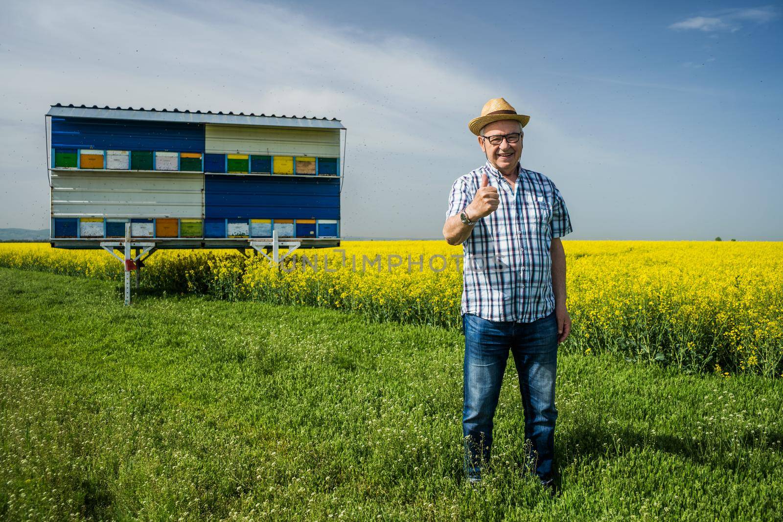 Proud beekeeper is standing in front of his beehives.