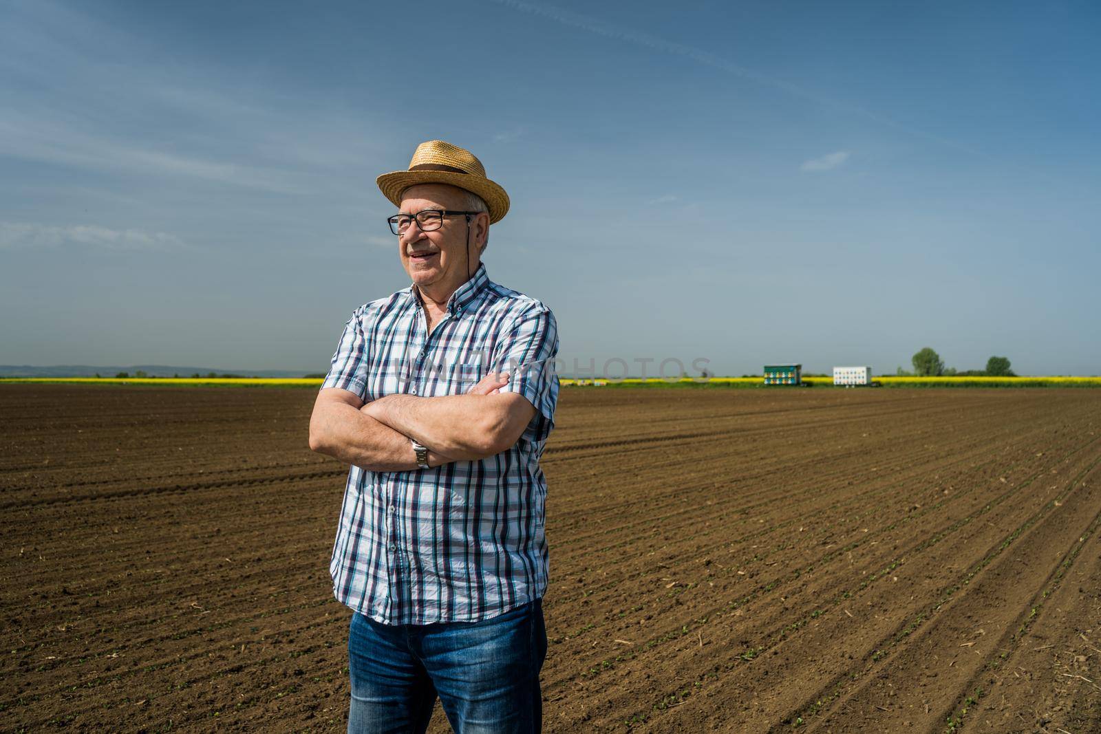 Proud senior farmer is standing in his sown corn field. He is cheerful and enjoying the successful sowing.