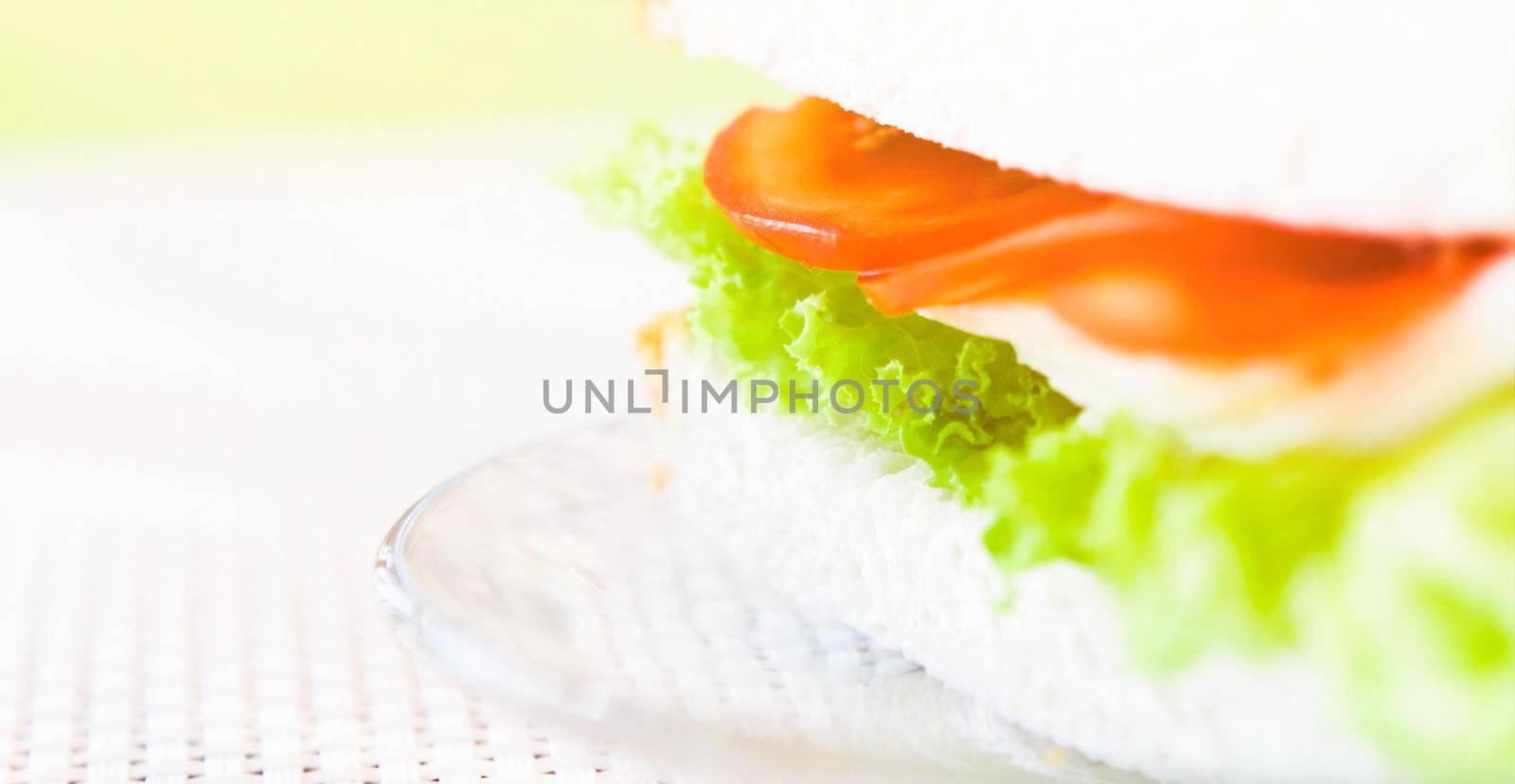Vegetarian low carb sandwich - healthy diet, homemade and eating outside concept. Enjoy a well-balanced lunch