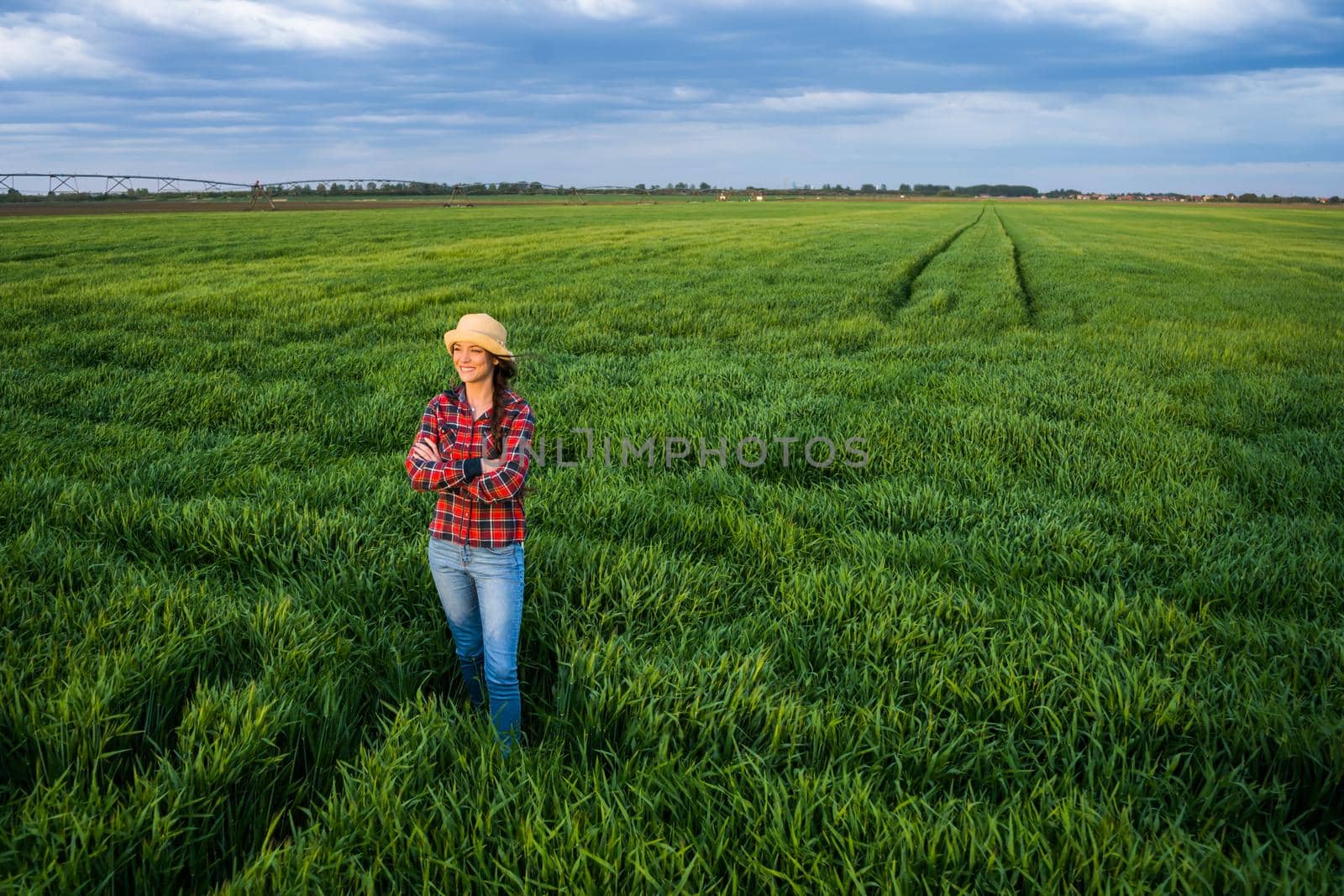 Proud female farmer is standing in her barley field and enjoying sunset.
