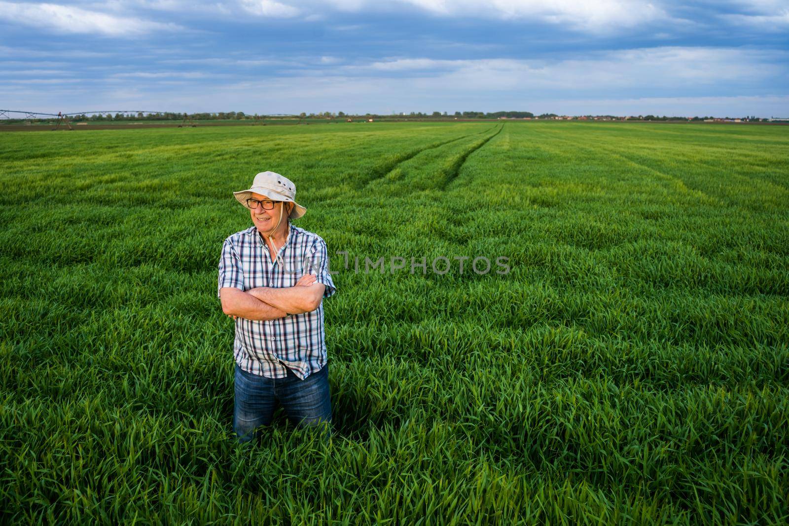 Proud senior farmer is standing in his barley field and enjoying sunset.