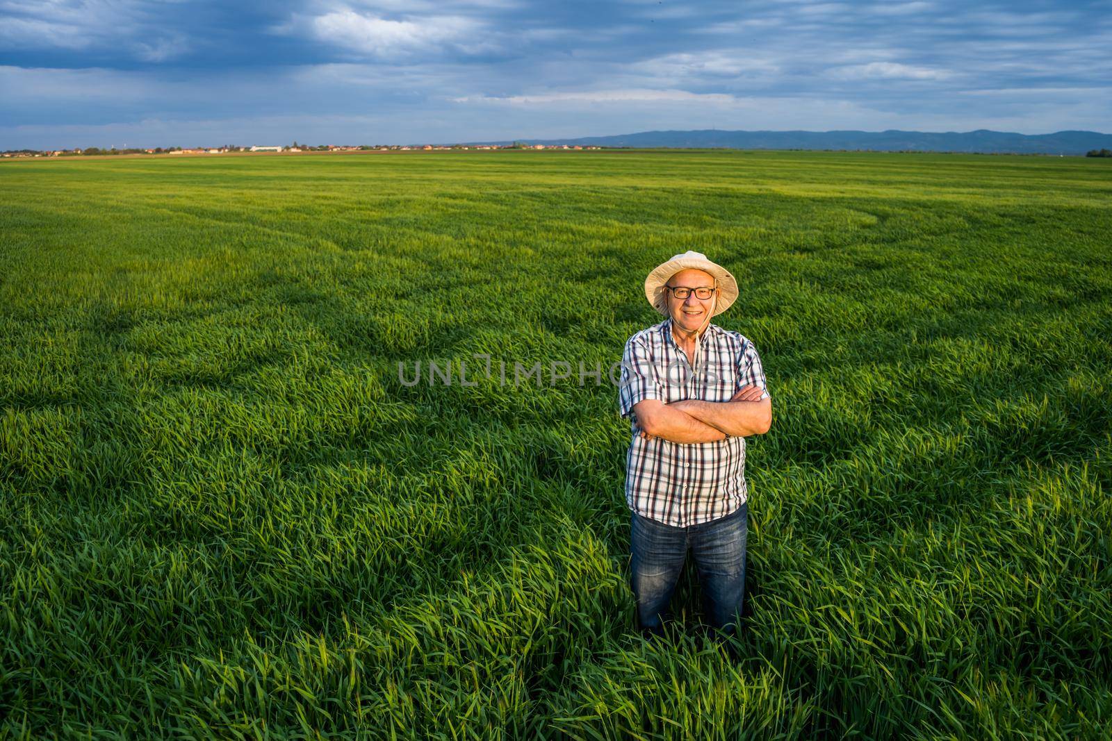 Proud senior farmer is standing in his barley field and enjoying sunset.