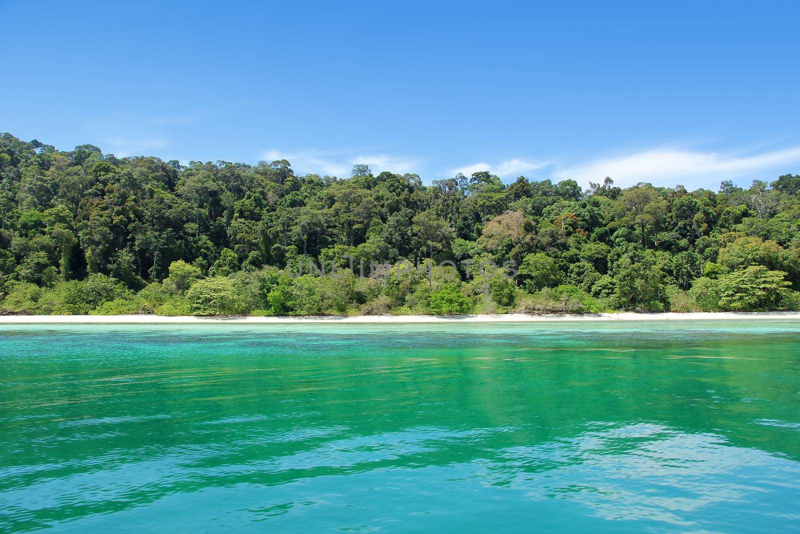 The island is forest green. And corals. Tourism of Thailand