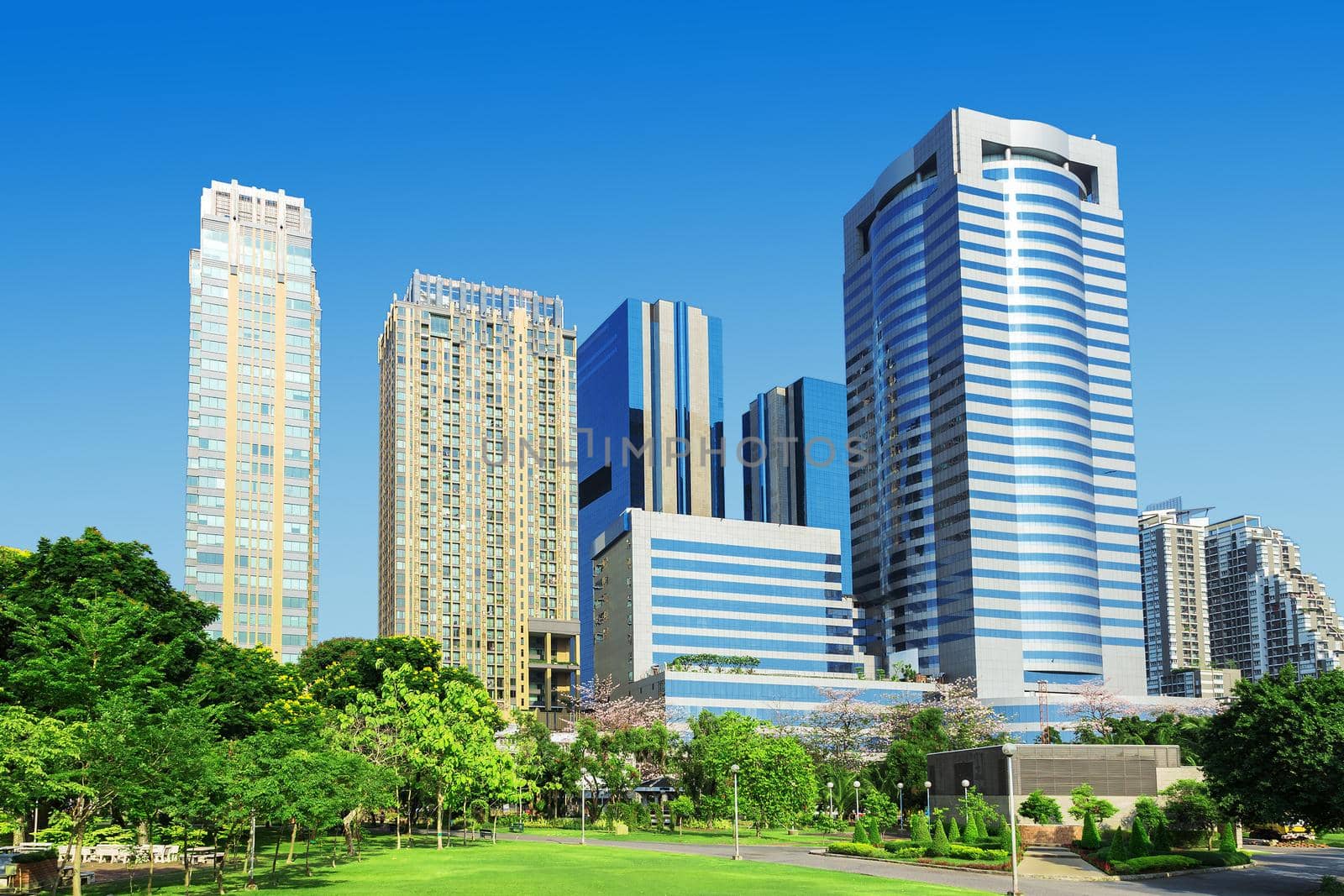 Skyscrapers and blue sky fill the background behind beautiful green grass and trees.