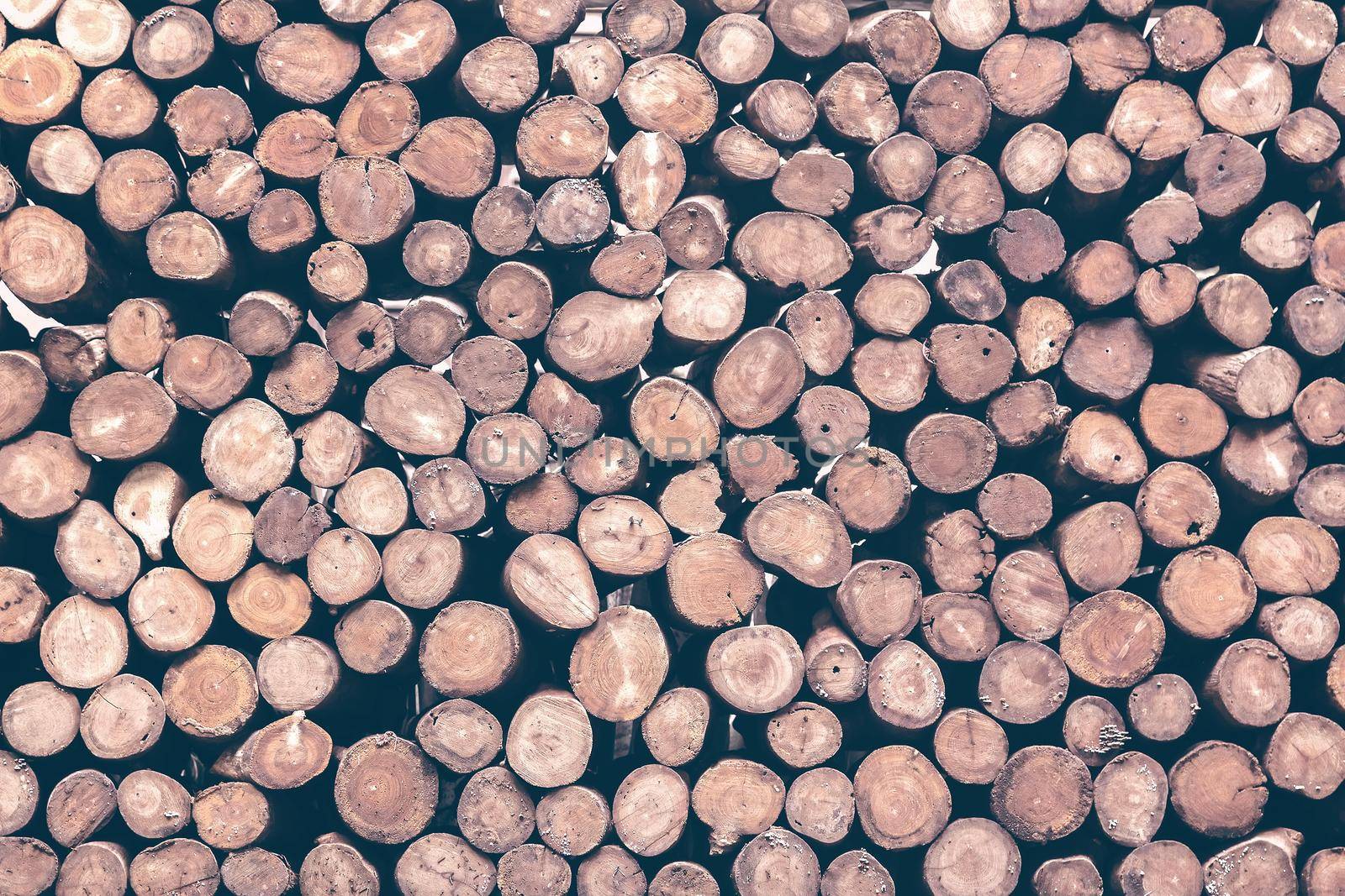 Pile of wood logs ready for winter