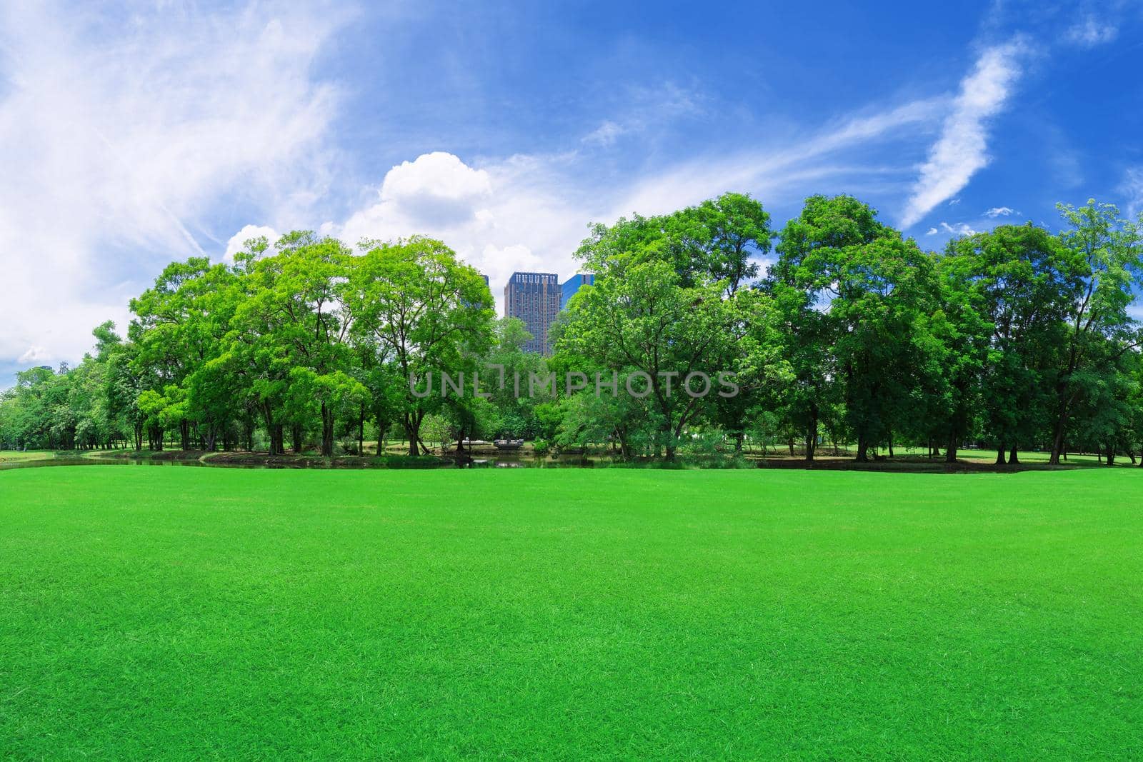 green grass field in big city park