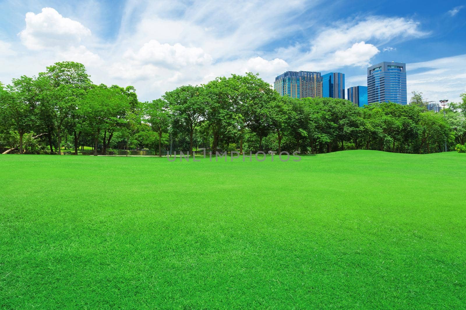 green grass field in big city park